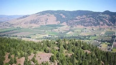 4286 Brewer Creek Road, Lavington, BC (MLS®#: 10346190) Image# 8