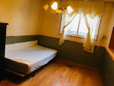 One First-floor bedroom for rent only for female at Finch/Warden Image# 1