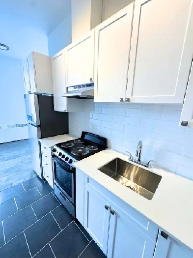 Renovated 2.5 available NOW - ACADIE METRO - Parc-Ex Image# 4
