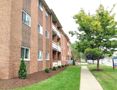 ALL INCLUSIVE - Silverbirch Apts 1BR in Waterloo Image# 1