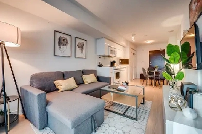 TORONTO DOWNTOWN FURNISHED Condo apartment Nr CN Tower. SPECIAL! Image# 9