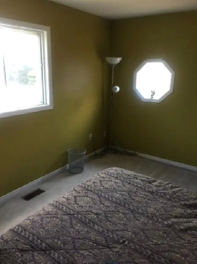 CLEAN SPACIOUS ROOM NEAR AIRPORT/BOVAIRD/BUS/GYM/AMENITIES PARKG Image# 1