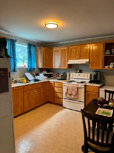 Three bedroom above ground basement apartment for rent Image# 5