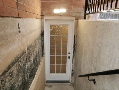 One Bedroom Legal Basement Available June 1 Image# 1