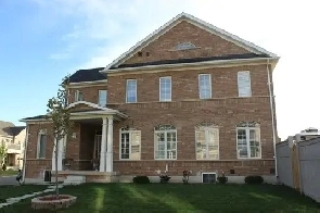 Basement for rent Image# 1