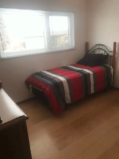 Rooms For Rent and/or Basement Suite Image# 1