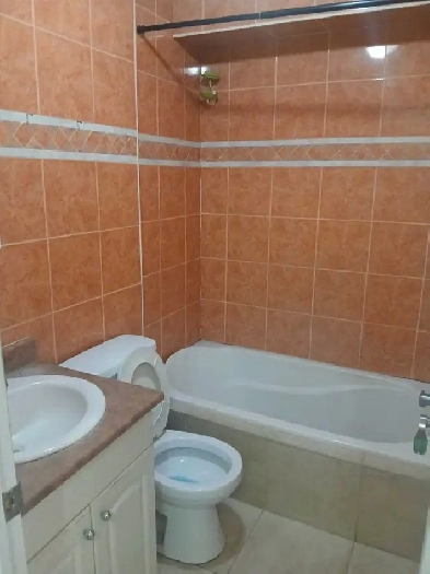 2 1/2 sous sol triplex dispo maintenant Image# 3