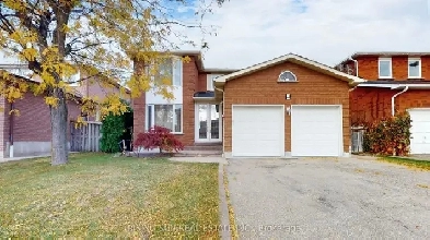 Basement Apartment for rent Image# 1