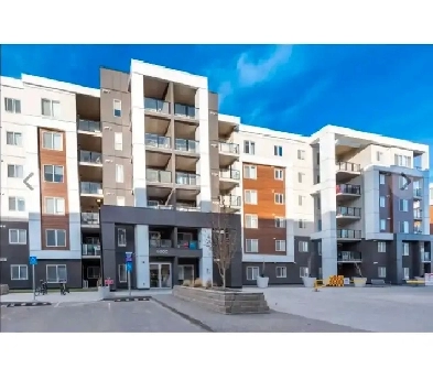 1 big bedroom in condominium available @main floor.Skyview Ranch Image# 4