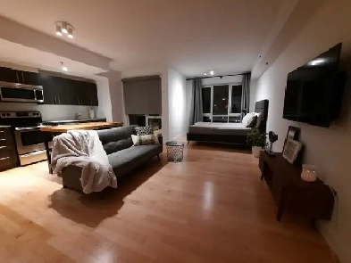 One Bedroom Condo Image# 4