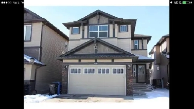 Newly renovated basement available for rent Image# 10