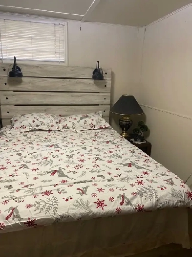 Luxurious rm in Holyrood at 325/wk or 775/ month Image# 1