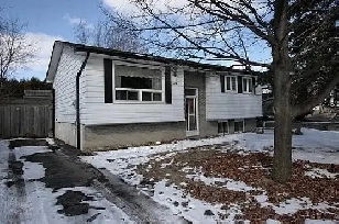 One room for Rent in Raised basement - 372 Vodden St E Brampton Image# 1