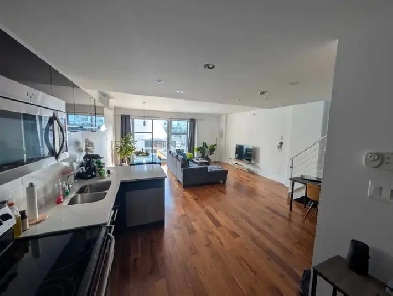 Sublime Appartement 3 1/2 lumineux : Place des arts Image# 4