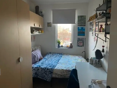 Private Room for Rent (June-August) Image# 7