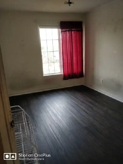 Room for rent in Etobicoke near Humber college N campus Image# 4