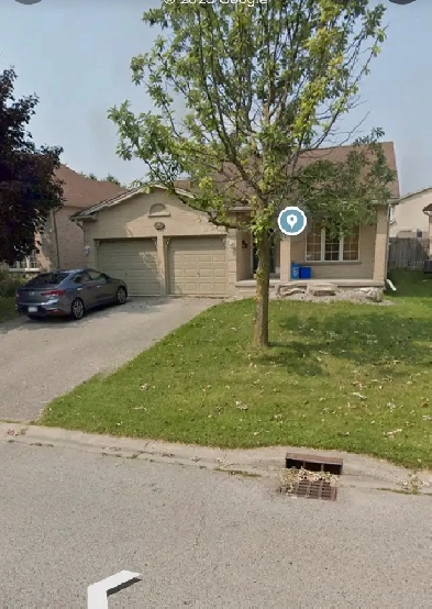 room for rent Image# 10