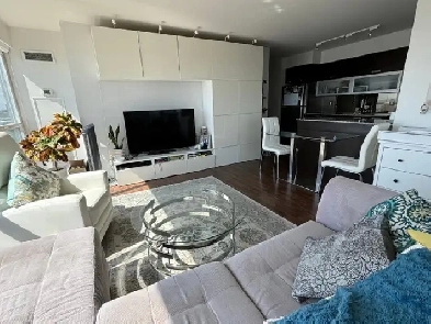 Large Beautiful 1 1 Corner Unit in Liberty Village - 17th Floor Image# 18