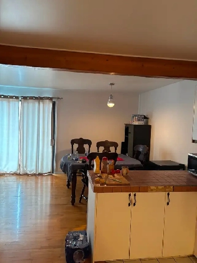 Logement 3 1/2 à louer au centre ville de Saint-Jérôme Image# 4