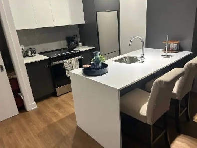 1-Bedroom Modern Apartment | $1,500/month | Wi-F Image# 8