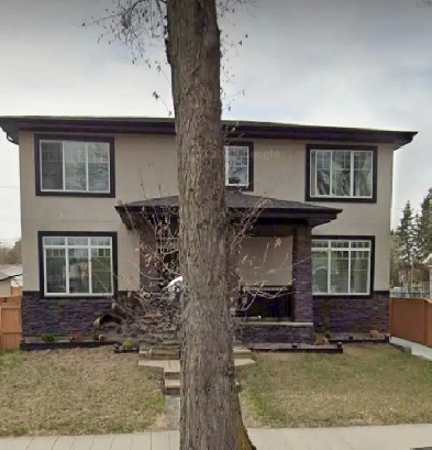 Bachelor Suite for Rent Image# 1
