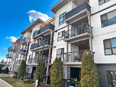 Brand New Apartment in Tamarack Near CHALO FRESHCO Image# 3