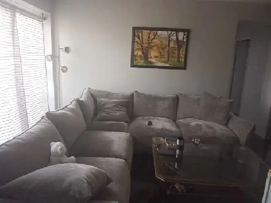 Shared apartment for rent by Merivale Road Image# 1