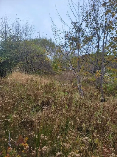 11-13 Kennedy's Lane, St. John's, NL Image# 1