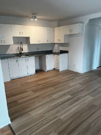 Appartement 4 1/2 à louer Image# 1