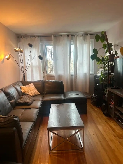 4 1/2 rue Baldwin - juin ou juillet Image# 1