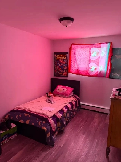 Anjou beau grand 4 1/2 situé au demi sous-sol Image# 1