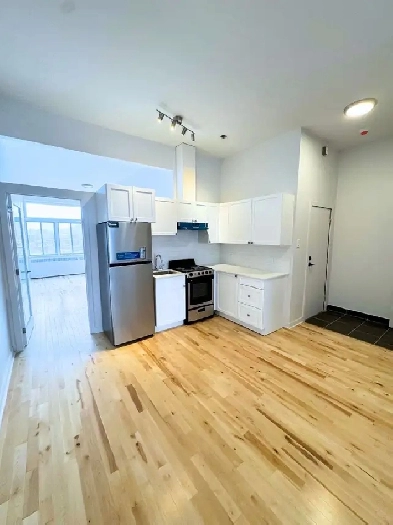 Renovated 4.5 available NOW - PARC EXTENSION - Jean Talon Image# 1