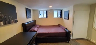 Bachler basement in Richmond hill Image# 4