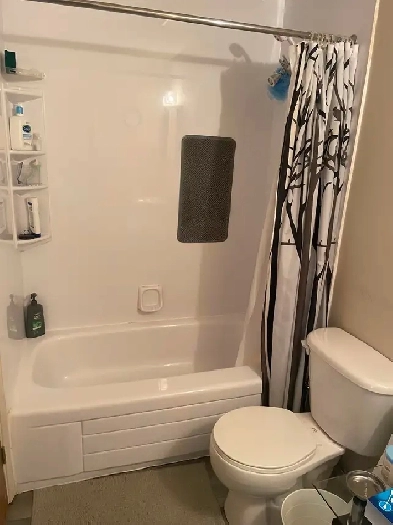 Reposting- Bedroom for Rent Image# 1