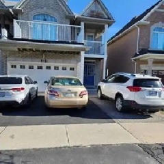Basement for Rent in Maple/ Vaughan ON Image# 2