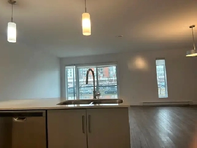 Magnifique condo 3 chambres au coeur du Plateau Image# 2