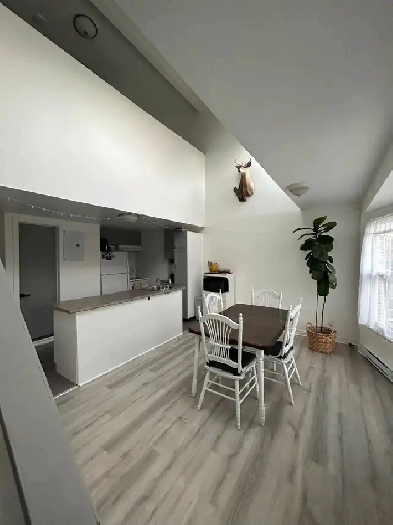 Superbe 3 ½ rénové sur 2 étages – Laval-des-Rapides Image# 8