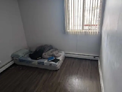 sharing 1 roommate needed Image# 1