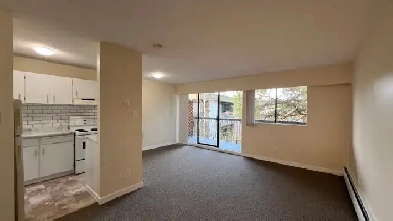 Newly renovated bachelor available now at Delta West (Delta) Image# 8