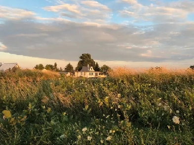 Cottage on Simcoe Island Image# 1