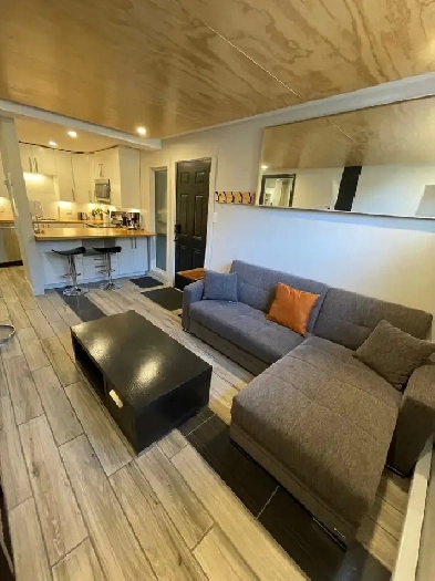 Fully Furnished Apartment for rent in Hintonburg Image# 1