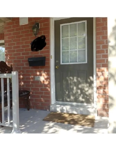 UPPER FLOOR SHARING ROOM FOR GIRL 1ST JUNE MISSISSAUGA Image# 1