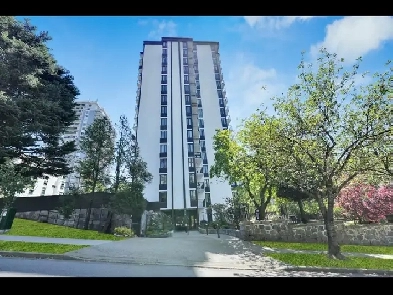 Studio Apartment for Rent - 1320 Bute Street Image# 1