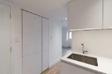 fully renovated one bedroom apartment near McGill - ID 715 Image# 1