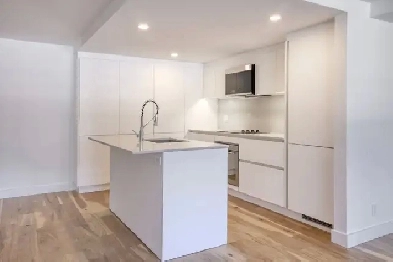 fully renovated one bedroom apartment near McGill - ID 3563 Image# 1