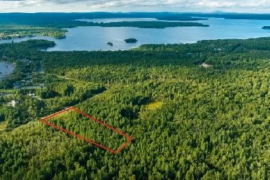 TERRAIN  2,4 ACRES  RÉSIDENTIEL-AGRICOLE-FORESTIER  STRATFORD Image# 5