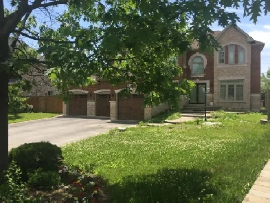 Pickering Basement Appt For Rent Image# 1