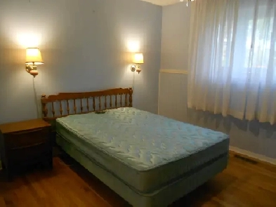 Room near Algonquin College Image# 2