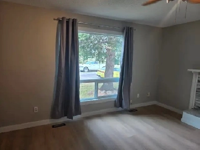 Bright Clean Two Bedroom Main Level Image# 2