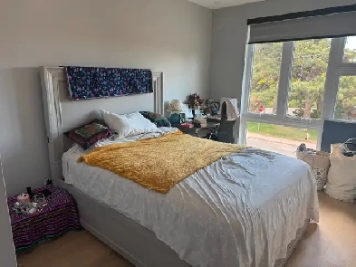 Room for Rent in House Image# 4